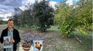 Truffe, ces arômes qui nous enfument !